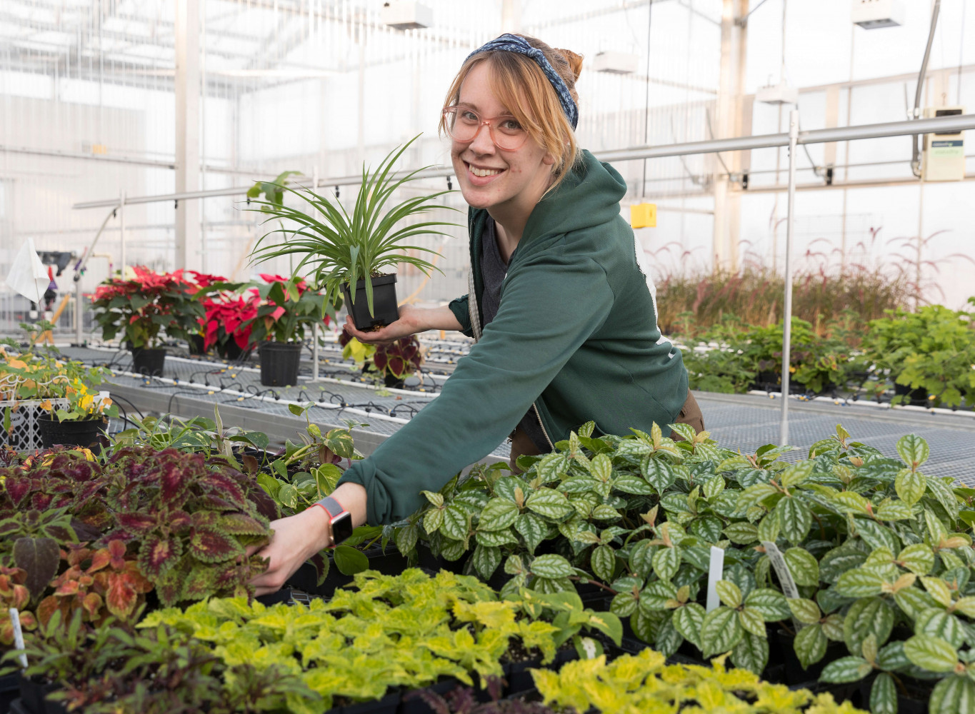 Woman tending plants in greenhouse