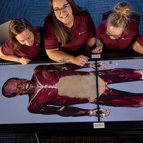 Students looking at anatomage table