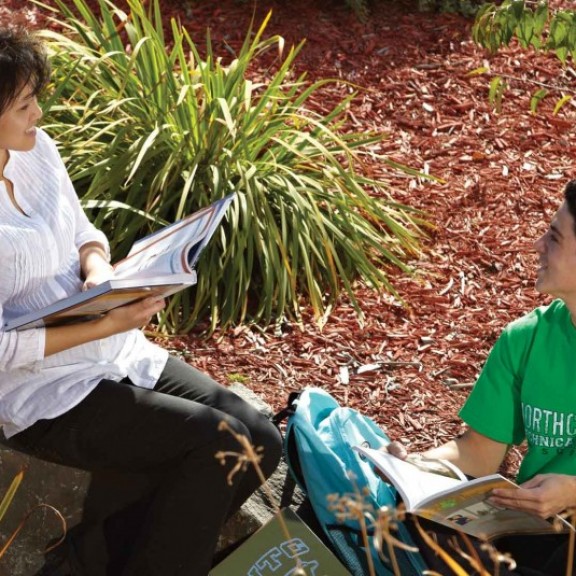 Students studying together outside on campus