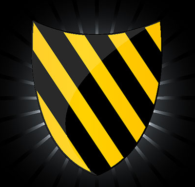 illustrated shield representing digial security